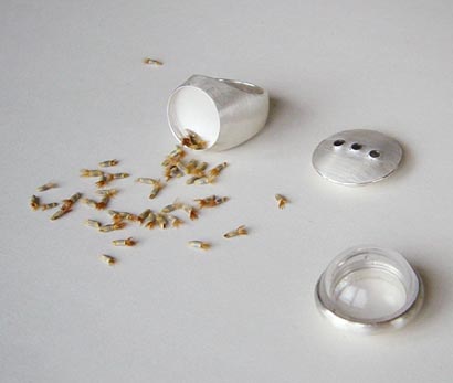 großes Foto des ausgewählten dingsdas